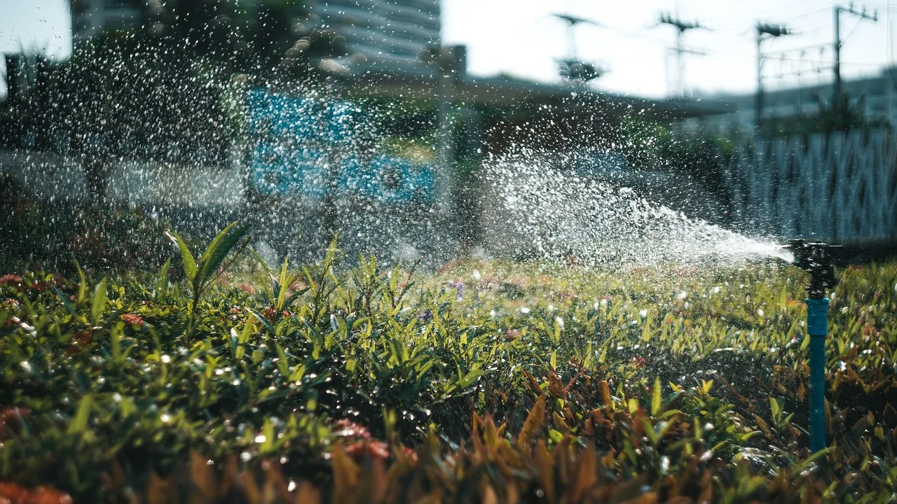 farm, agriculture, irrigation, irrigation, irrigation, irrigation, irrigation, irrigation. 7 ways California water rights shape drought reporting on farms