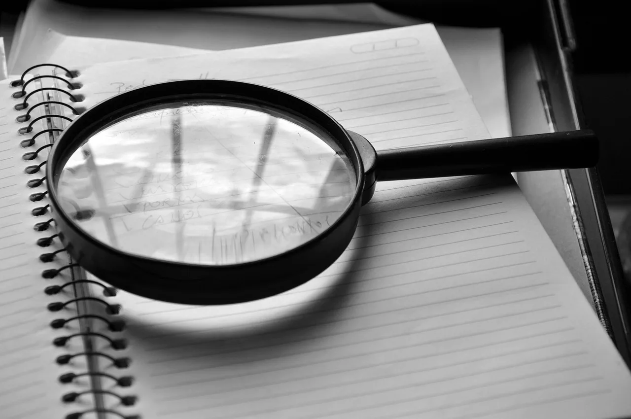 magnifying glass, journal, detail, job, the audit, magnifying glass, magnifying glass, magnifying glass, magnifying glass, magnifying glass. Chicago inspector general audits: How the process works