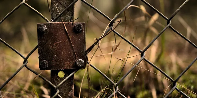 metal, fence, wire, border, security, entrance. Case study: a fictional border closure and safe-passage claim