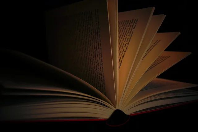 dark, grim, books, pages, paper, read, a book, bound, browse, cover, book pages. SEC filings explained for readers who only see the headline number